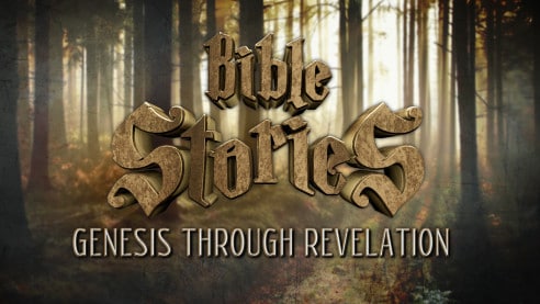 Bible Stories: Genesis Through Revelation