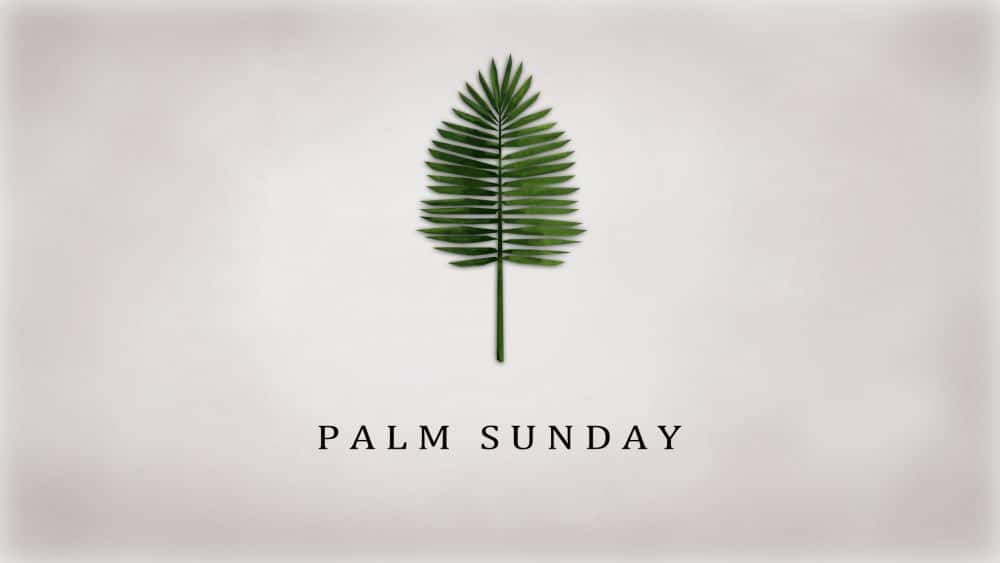 John 12:1-19 - Misunderstanding Jesus (Palm Sunday) Image