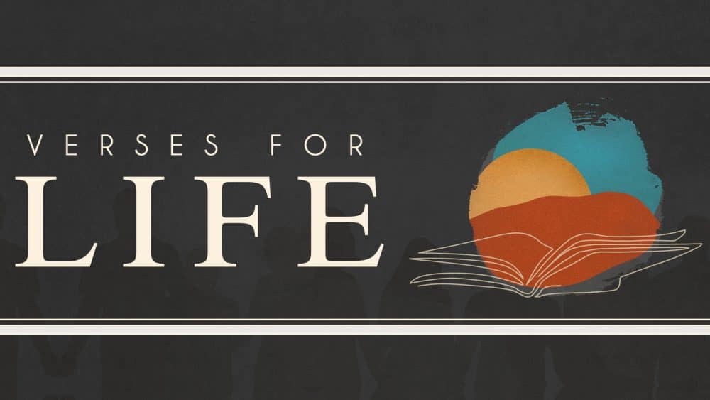 Matthew 28:18-20: The Great Commission (Verses for Life)