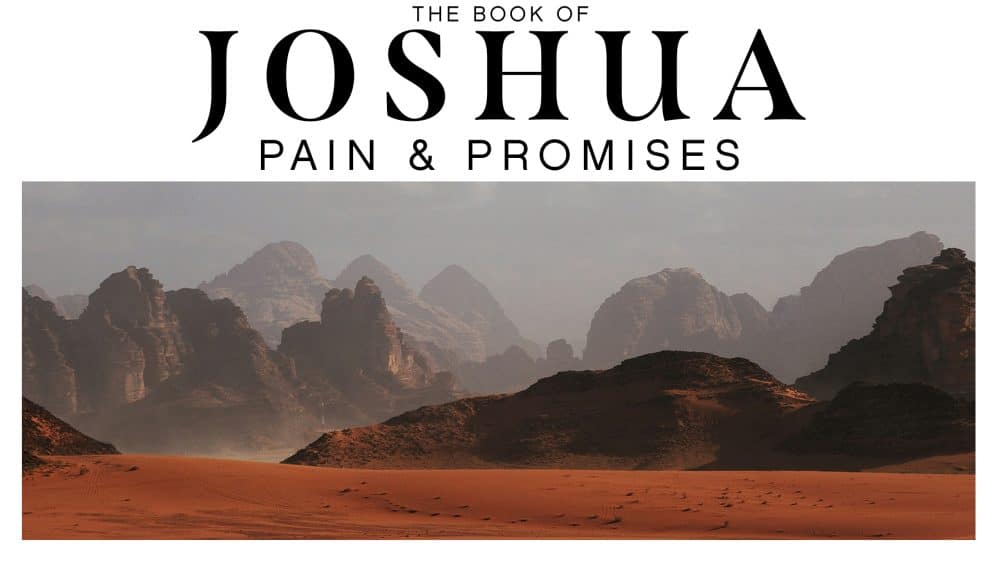 Joshua: Pain & Promises